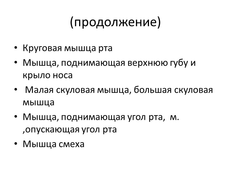(продолжение) Круговая мышца рта Мышца, поднимающая верхнюю губу и крыло носа  Малая скуловая